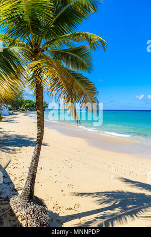 Mullins Beach - spiaggia tropicale sull'isola caraibica di Barbados. Si tratta di una destinazione paradiso con una spiaggia di sabbia bianca e mare turquoiuse. Foto Stock