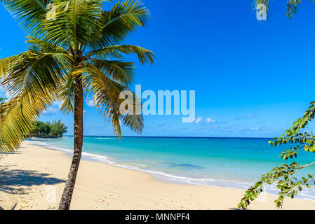 Mullins Beach - spiaggia tropicale sull'isola caraibica di Barbados. Si tratta di una destinazione paradiso con una spiaggia di sabbia bianca e mare turquoiuse. Foto Stock