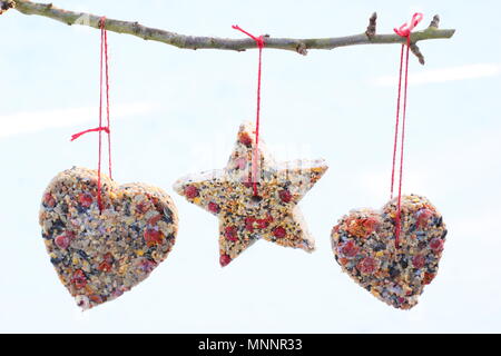 Passo dopo passo 6/7: rendere inverno berry bird alimentatori con cookie cutter. In casa di cuore e a forma di stella di alimentatori di uccelli appendere su albero in giardino con la neve Foto Stock