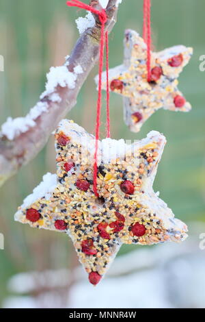 Passo dopo passo 6/7: rendere inverno berry bird alimentatori con cookie cutter. In casa di cuore e a forma di stella di alimentatori di uccelli appendere su albero in giardino con la neve Foto Stock