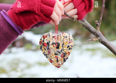 Passo dopo passo 6/7: rendere inverno berry bird alimentatori con cookie cutter. In casa a forma di cuore ad bird feeder appeso dal ramo di albero in giardino dopo la neve Foto Stock