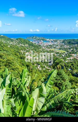 Castries, Saint Lucia - Costa Tropical Beach sull'isola caraibica di Santa Lucia. Si tratta di una destinazione paradiso con una spiaggia di sabbia bianca e turquoiuse Foto Stock