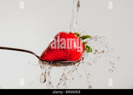 Fragola su un cucchiaio, essendo lavato Foto Stock