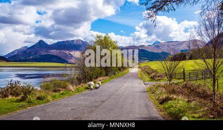 Bella vista verso il famoso Pap di Glen Coe picco piramidale e Loch Leven nelle Highlands della Scozia Foto Stock