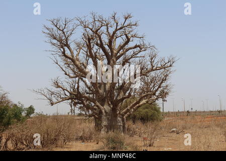 Attrazioni di Dakar Foto Stock