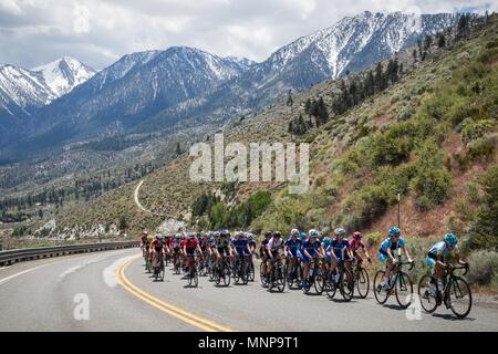 Nevada, USA. 18 Maggio, 2018. Venerdì, 18 Maggio 2018.Il peloton si muove lungo il grado di Kingsbury Rd, Nevada, durante la fase 2 del Amgen tour della California Le donne di gara abilitata con SRAM, che inizia e termina a South Lake Tahoe, California. Credito: Tracy Barbutes/ZUMA filo/Alamy Live News Foto Stock