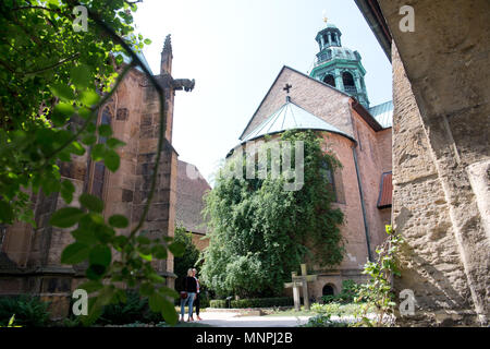 15 maggio 2018, Germania, Hildesheim: Il leggendario millenaria peduncolo a Hildesheim Cattedrale. Il vescovo ha annunciato che la rosa selvatica bush raggiungerà la sua piena fioritura durante il fine settimana di Pentecoste. In seguito alla liberazione, figlio di Carlo Magno non poteva liberare un reliquiario di rose. Invece egli ordinò di costruire una cappella, che più successivamente si è trasformato in una cattedrale. Come una questione di fatto, i ricercatori hanno dimostrato che il peduncolo potrebbe non essere più vecchi di 700 anni. Foto: Julian Stratenschulte/dpa Foto Stock