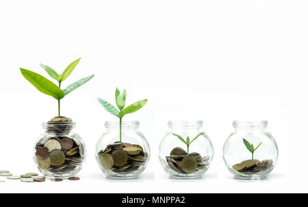 Risparmiare denaro e concetto di investimento, albero e monete che crescono in vetro isolato su sfondo bianco Foto Stock