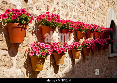 Bella rosa e viola fiori estivi in vasi di ceramica appeso a una parete Foto Stock