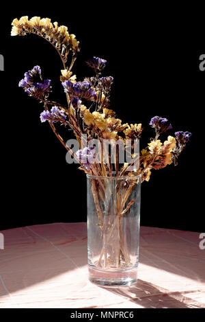Fiori secchi nel vaso di vetro Foto Stock