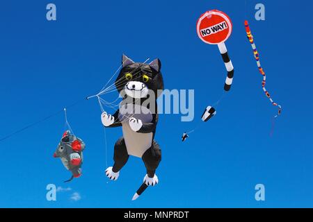 26 maggio 2013 - Wildwood, NJ, Stati Uniti d'America: un gatto gigante-show a forma di aquilone vola in alto nel cielo a Wildwoods International Kite Festival. Foto Stock