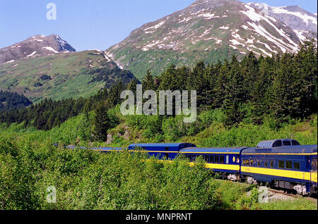 L'Alaska Railroad viaggio al Parco Nazionale di Denali viaggia attraverso un magnifico scenario. Naturalmente questa foto è stata presa da una delle vetture posteriore. Foto Stock