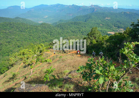 Il trekking scendendo dalla collina Kodachadri (Karnataka, India) Foto Stock