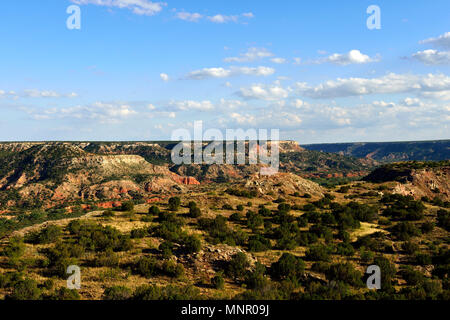 Ampio paesaggio aperto, Palo Duro Canyon State Park, Texas, Stati Uniti d'America Foto Stock
