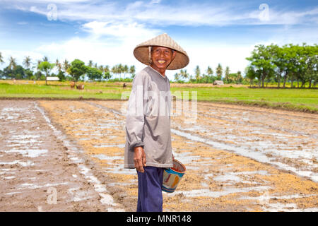 LOMBOK,INDONESIA- febbraio 2: allevatore locale semina Riso su febbraio 2,2012 in Lombok, Indonesia. I contadini avevano diverse varietà di riso che serviva Foto Stock