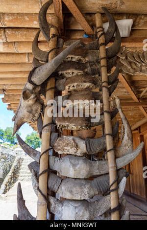 Bufalo d'acqua teschi visualizzati sulla parte anteriore di una casa in Bena tradizionale villaggio in Flores, Indonesia. Foto Stock