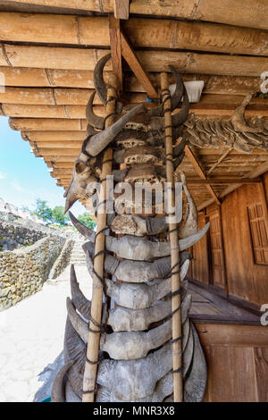 Bufalo d'acqua teschi sul display in Bena tradizionale villaggio in Flores, Indonesia. Foto Stock