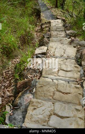 Preformato di pietra simili passi concreti che conducono in basso verso un percorso, Jourama cade, Bruce Hwy, Yuruga QLD, Australia Foto Stock