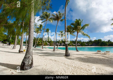 Bellissima spiaggia con palme da cocco sulla isola di Bora Bora in Polinesia francese Foto Stock