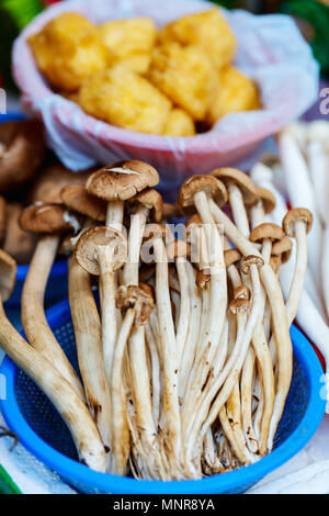Diversi tipi di funghi al mercato di Hong Kong Foto Stock