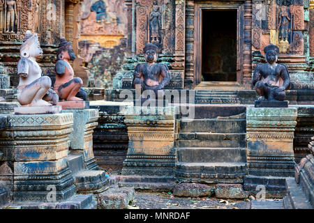 Bellissimo il Banteay Srei sculture del tempio di Angkor area archeologica in Cambogia Foto Stock