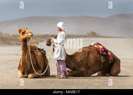 AL Safen, Oman, 27 Aprile 2018: ragazzo beduino con i suoi cammelli nella campagna dell'Oman Foto Stock