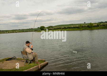 Un uomo che pesca con la mosca su un lago con un pesce di trota sulla linea Foto Stock
