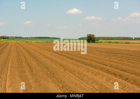 Campo appena arato sotto il cielo azzurro vicino a High Melton, South Yorkshire, Regno Unito, con solchi dritti e terreni agricoli aperti pronti per la piantagione primaverile Foto Stock