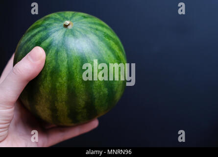 Donna di mano che tiene un verde mature mini anguria su uno sfondo scuro. Messa a fuoco selettiva. Foto Stock