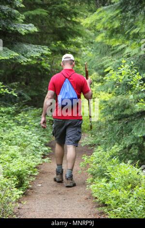 Uomo adulto visto da dietro escursioni lungo un sentiero stretto nella foresta con un bastone da passeggio e zaino a Leavenworth, Washington. Foto Stock