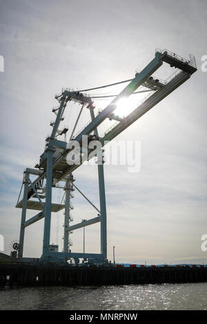 Gantry Crane militare a Ocean Terminal Concord, California, Marzo 6, 2018. Trans Mariner 18 West è un mondo reale missione strategica utilizzando U.S. La riserva di esercito e componente attivo soldati per condurre operazioni portuali consentendo Army materiel e contenitori di munizioni per il viaggio di andata. Foto Stock