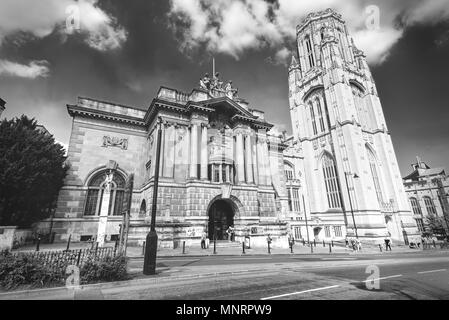 Bristol City Museum & Art Gallery e il Wills Memorial Tower Foto Stock