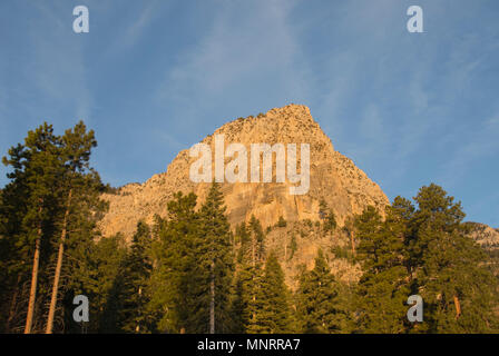 Sunrise sulla cattedrale, Rock Spring Mountains National Recreation Area, Mt. Charleston, Nevada, area selvaggia appena al di fuori di Las Vegas Foto Stock