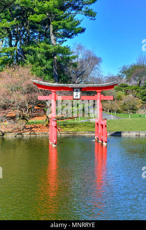 Giardino giapponese in Brooklyn Botanic Garden, New York City, U.S.A. Foto Stock