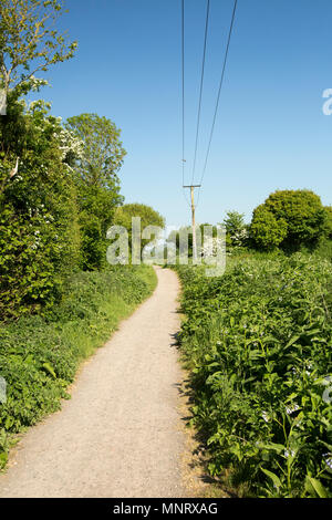 Guardando in direzione di Shillingstone sul Dorset Trailway vicino mulino Fiddleford non lontano da Sturminster Newton. Il Dorset Trailway è in gran parte Foto Stock