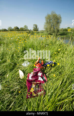 Cucciolata a sinistra dietro in una buttercup prato adiacente al mulino Fiddleford piscina sul Dorset Stour fiume vicino a Sturminster Newton Dorset England Regno Unito GB. Foto Stock