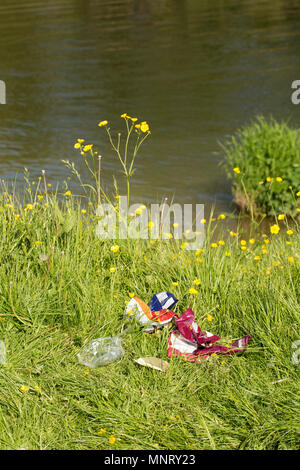 Cucciolata a sinistra dietro in una buttercup prato adiacente al mulino Fiddleford piscina sul Dorset Stour fiume vicino a Sturminster Newton Dorset England Regno Unito GB. Foto Stock