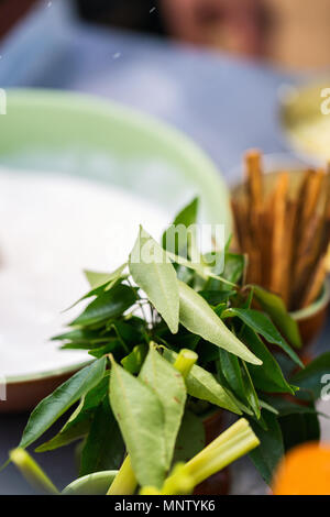 Foglie di curry e latte di cocco di cottura Ingredienti per la realizzazione di curry Foto Stock