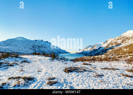 Paesaggio invernale di fiordi mozzafiato paesaggio di Senja isola nel nord della Norvegia Foto Stock