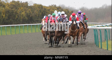 Jockey, Jim Crowley, Steve Drowne, Tom Queally, George Baker, William Carson, Richard Thomas, Martin Dwyer, Carson, Hayley Turner, Jim Crowley e Chris Catlin ride Bonnie Prince blu, frequenza, Waterloo Dock, Al Gillani, Athaakeel, Briannsta, Poesmulligan, Boga e Terrys Flutter. Lingfield Park Race Track, Lingfield, Inghilterra. Il 30 marzo 2011 Foto Stock