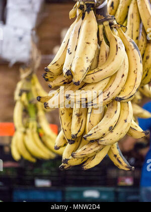 Mature bananashang da ganci in un mercato della frutta: il giallo e il nero mature mangiare banane sul display in un Tulum mercato della frutta. Foto Stock