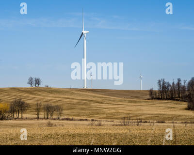 Tre turbine eoliche sul pendio di una collina: tre grandi generatori di vento condividono lo spazio in un campo con affioramenti di nana piena di dimensioni alberi. Foto Stock