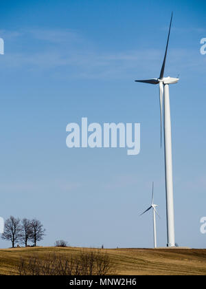 Tre alberi e due grandi turbine eoliche sulla cima di una collina.: generatori di vento dominano il paesaggio rurale in questo Southwestern Ontario comunità. Foto Stock