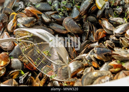 Un sacco di fresco bollito di cozze. Deliziosi frutti di mare. Crostacei cibo. Messa a fuoco selettiva. Close-up. Foto Stock