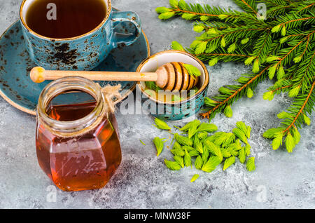 Il miele, marmellata da verde abete rosso di germogli. Foto Studio Foto Stock