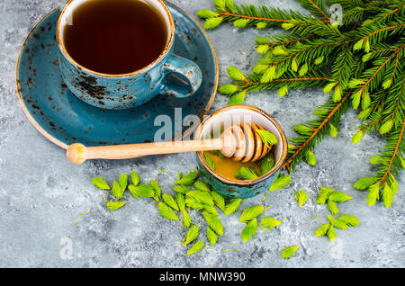 Il miele, marmellata da verde abete rosso di germogli. Foto Studio Foto Stock