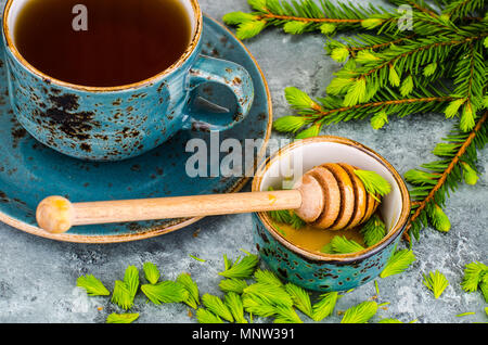 Il miele, marmellata da verde abete rosso di germogli. Foto Studio Foto Stock