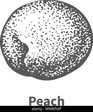 Illustrazione Vettoriale disegnati a mano peach Illustrazione Vettoriale