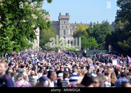 Windsor, Regno Unito. Il 20 maggio 2018. La folla si riuniscono a Windsor lunga passeggiata per le nozze reali del principe Harry e Meghan Markle, 19 maggio 2018. Credito: Caron Watson/Alamy Live News Foto Stock