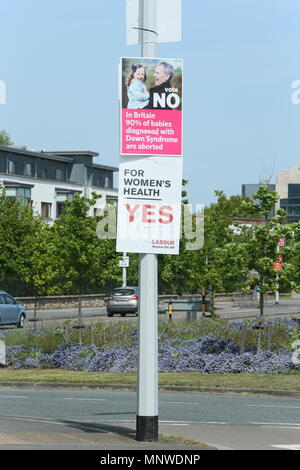 Immagine del poster della campagna su una strada di Dublino durante l'accumulo all'Irish ottavo emendamento referendum. Il referendum mira a stabilire se mantenere l'ottavo emendamento della Costituzione irlandese che sancisce i diritti dei cittadini per il nascituro o che hanno abrogato come parte di un movimento per la liberalizzazione della Repubblica di Irlanda attuali leggi sull aborto. Foto Stock